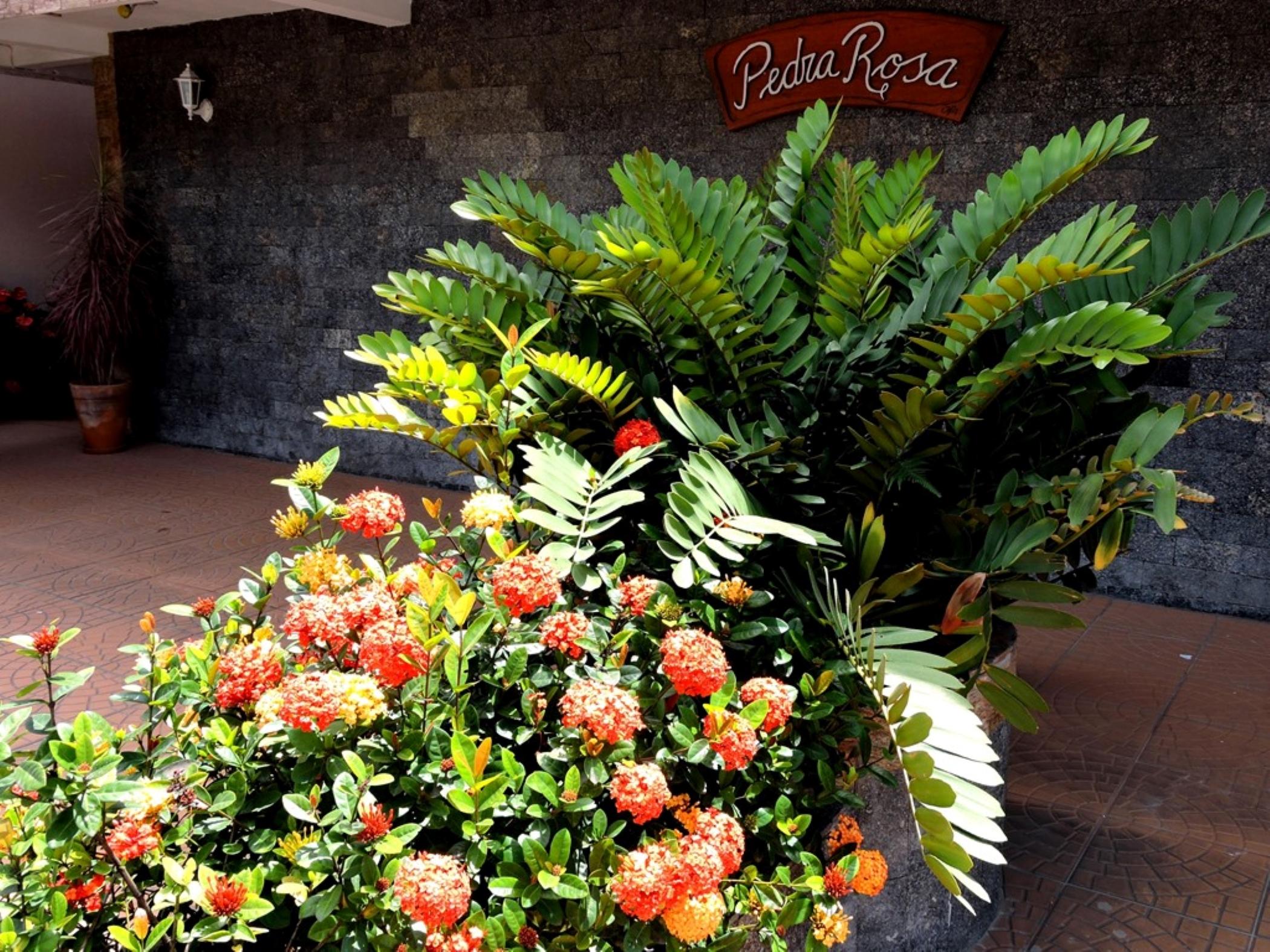 Pousada Pedra Rosa Florianópolis Exterior foto