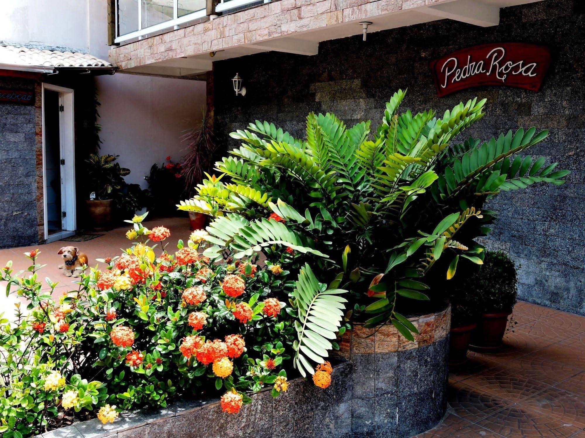 Pousada Pedra Rosa Florianópolis Exterior foto