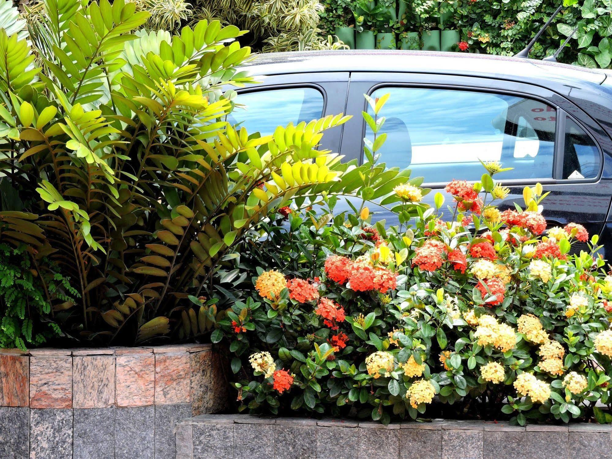 Pousada Pedra Rosa Florianópolis Exterior foto